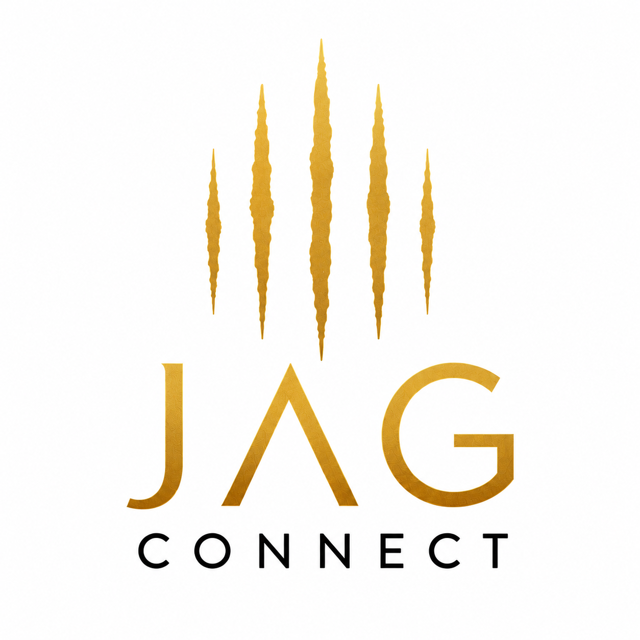 JAG Properties — Asset Management